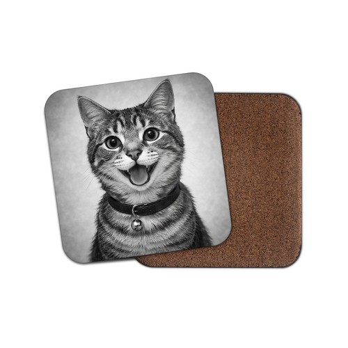 Happy british shorthair - 1,