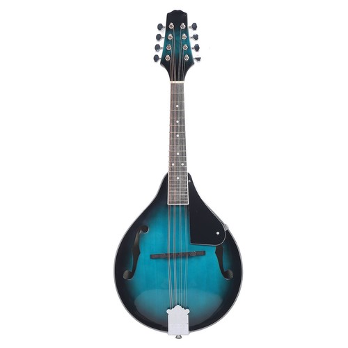 Mandolin instrument kit - mandolin, cr