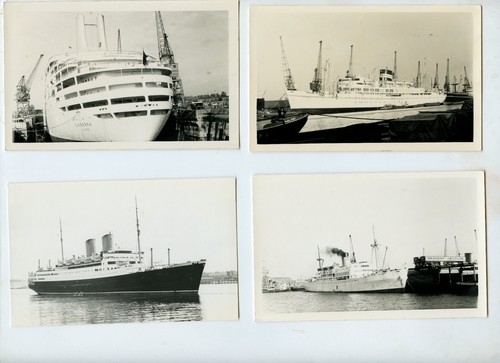 Ocean liner cruise ship - ship, x4