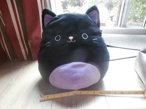 Autumn the black - the, cat