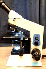 Microscope
