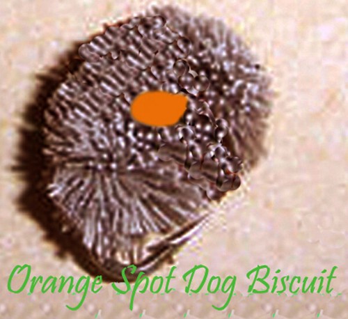 Dog biscuit deer - deer, hair