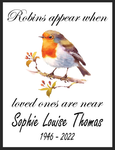Personalised robins appear - robins,
