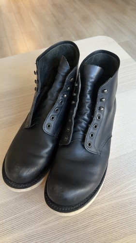 Red wing irish setter - wing, dog