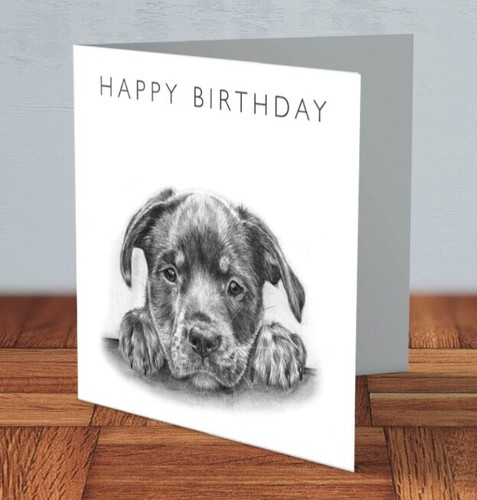 Rottweiler dog birthday card - birthday,