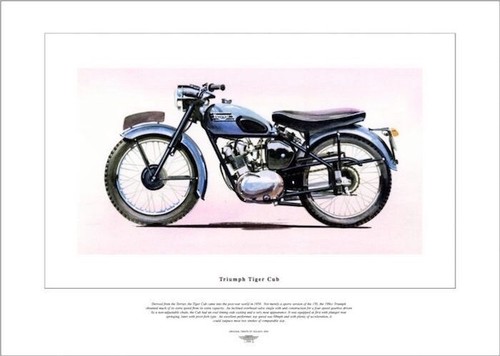 Triumph tiger cub - tiger,