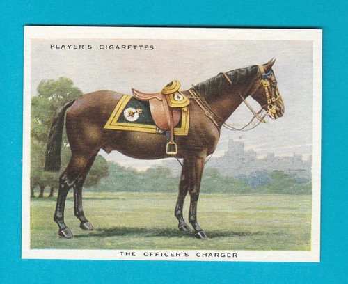 Types horses card no - of, 17