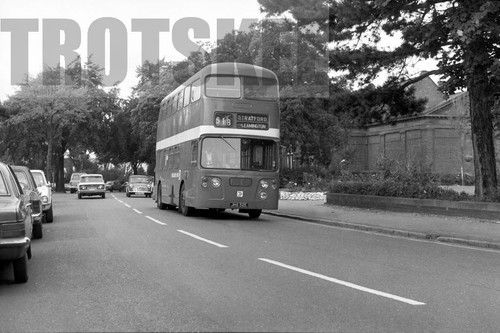 35mm black and white negative - 35mm,