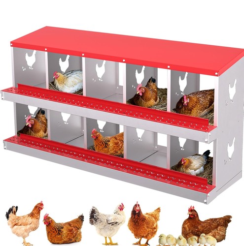 Holes metal chicken - 6/10,