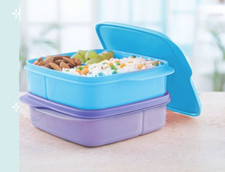 Tupperware Eco+ Break Box