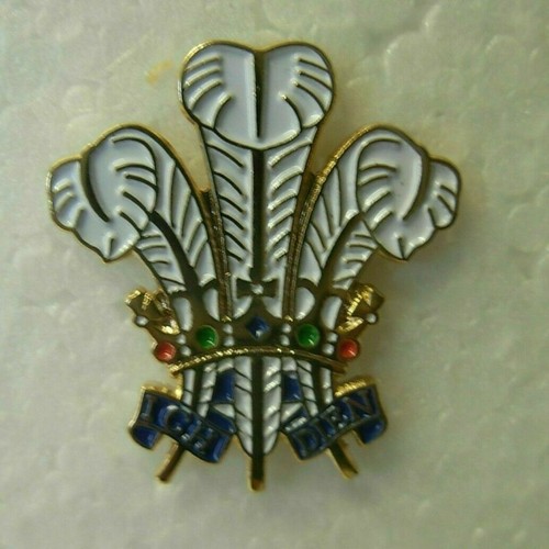 Prince wales feathers pin - prince,