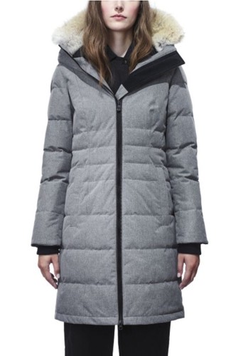 Canada goose limited - goose, edition