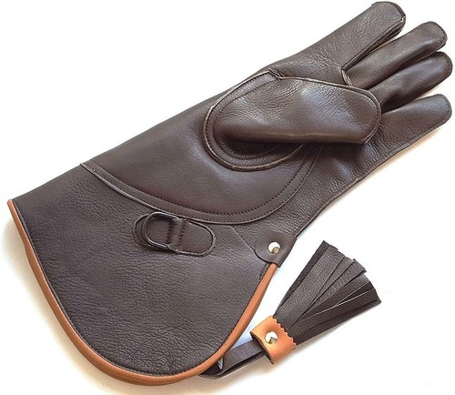 Falconry glove leather - glove, bird
