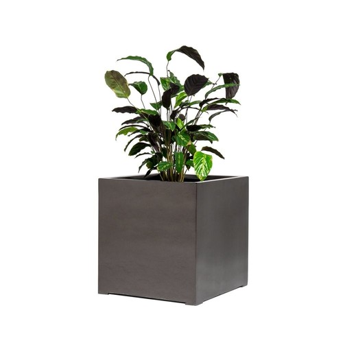 Primrose metallic grey - primrose,