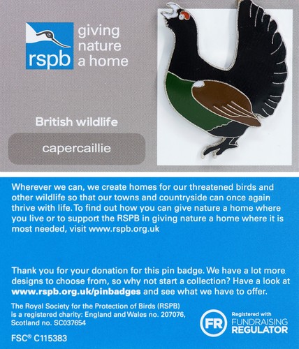 Rspb pin badge - rspb,