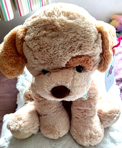 Sainsburys home large dog soft - sainsburys,