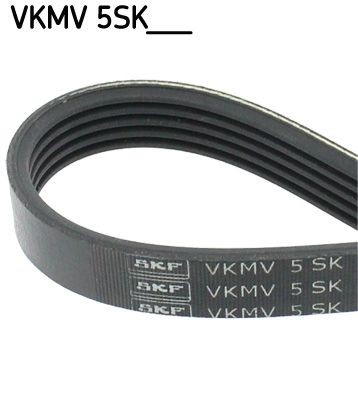 Ribbed belt vkmv5sk748 - v-ribbed,