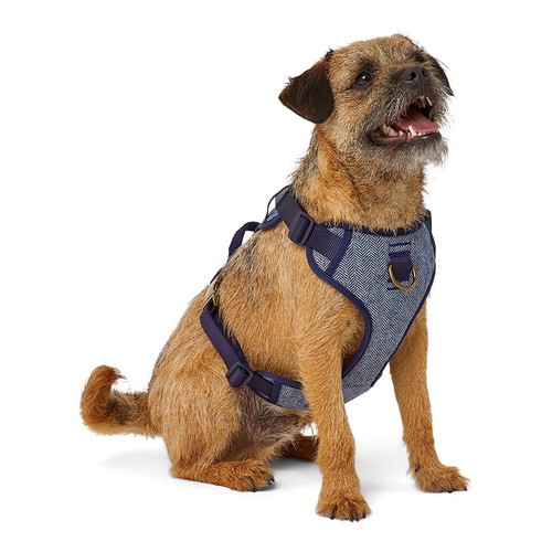 Wainwrights herringbone dog - wainwrights,