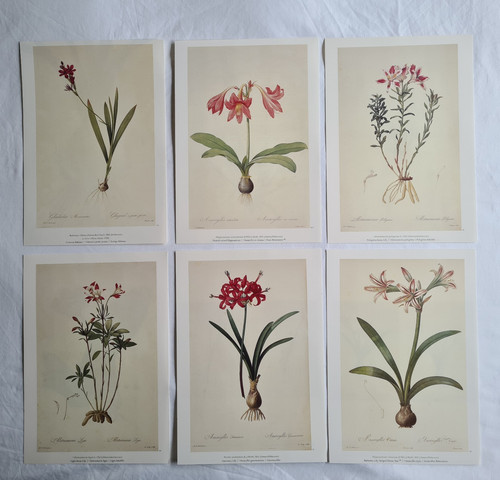 Beautiful set 6 - a,