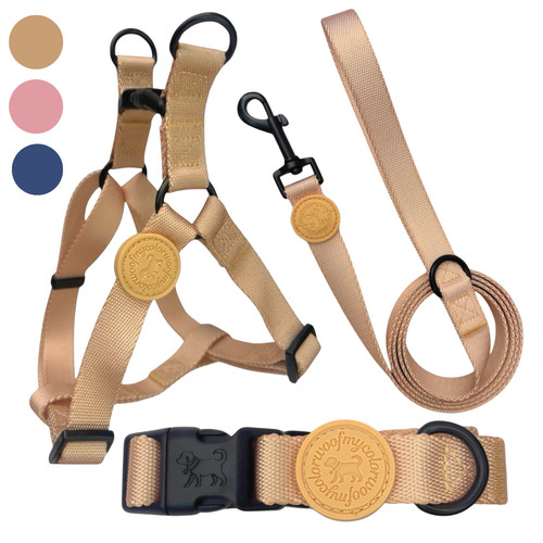 Matching dog walk set - set, in