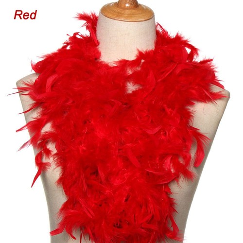 Feather boa costume - 2m,