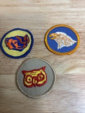 Vintage boy scout - boy,
