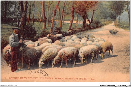 Aidp1 sheep 0068 scenes and - -,