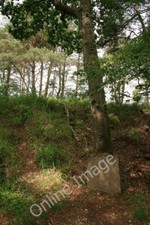 Photo 6x4 Memorial stone for T