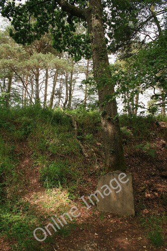 Photo 6x4 memorial stone for - photo,
