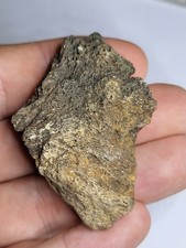 Hell Creek Dinosaur Fossil T-Rex Triceratops Ankylosaurus Edmont  (Ref2524)