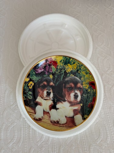Beagle plate puppies - plate, &