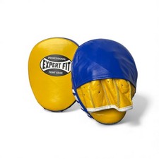 Focus Pad Boxing MMA Coaching