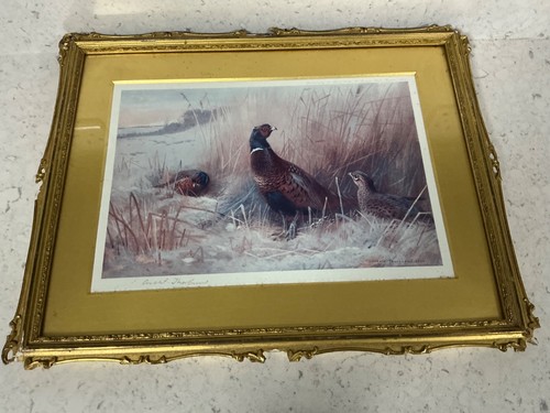 Archibald thorburn signed - archibald,