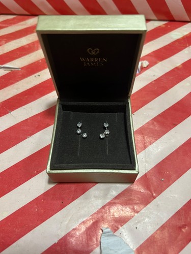 Warren james earrings - warren,