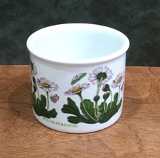 Vintage Portmeirion Botanic