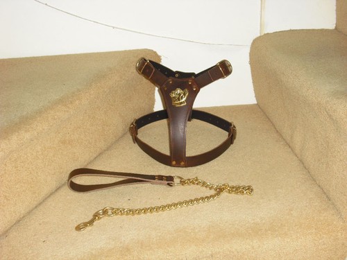 Brown padded leather dog - brown,