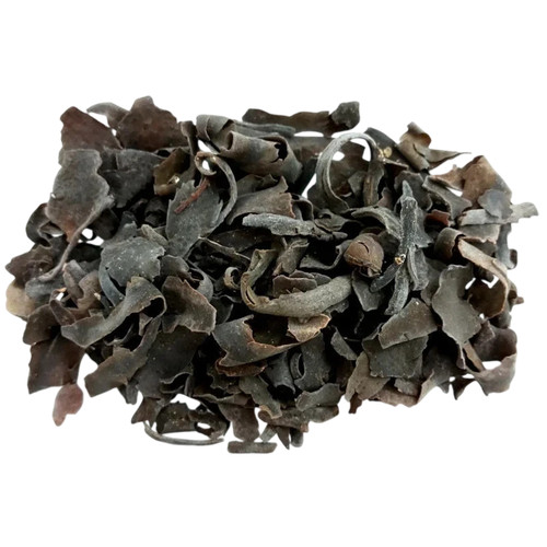Dried bladderwrack herb - bladderwrack,