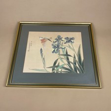Chinese Silk Bird Flower