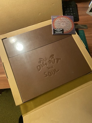 Oasis dig out - out, your
