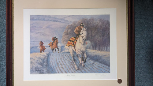 Frosty dawn desert orchid - a,