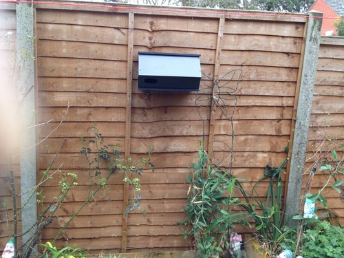 Common swift bird nest box - , /