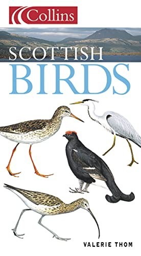 Scottish birds collins - birds, (collins
