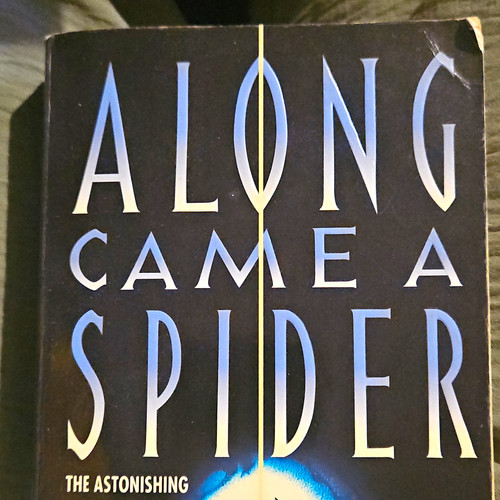 James patterson along came - along, a