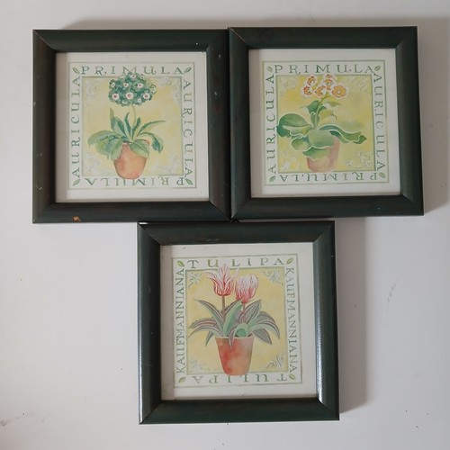 Vintage botanical prints - prints, set