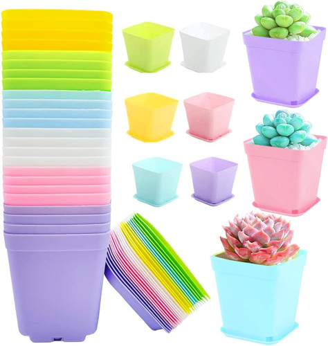 24pack inch plastic - 24pack, 3