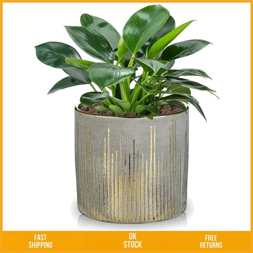 Elegant patterned ceramic - patterned,
