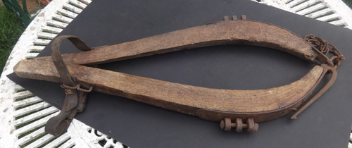 19th century heavy horse