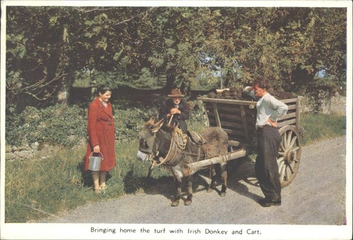 Vintage irish donkey - vintage,