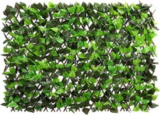 Expandable Evergreen Privacy