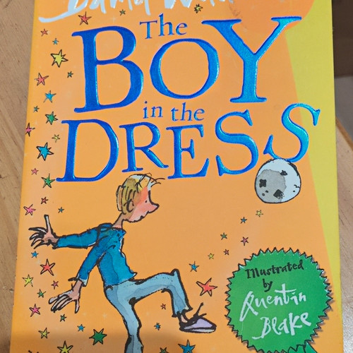 David walliams the boy - walliams,